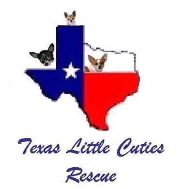 user Texas Little Cuties's profile picture